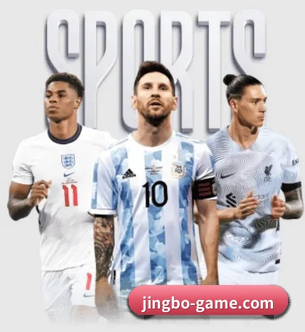 五大服务分区,信息按项目分类 - 多运动项目内容板块